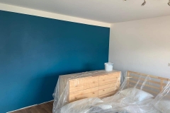 renovationint